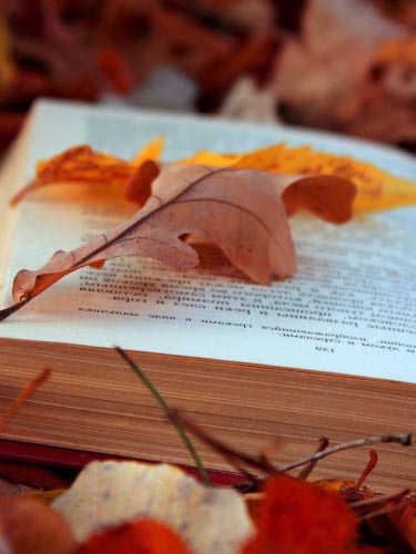 КЊИЖЕВНЕ ВЕЧЕРИ